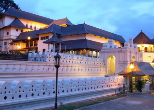 Sri Lanka’s Untamed Wonders (5-Day)