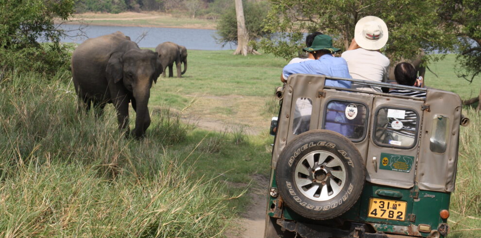 Minneriya-National-Park-Sri-Lanka-