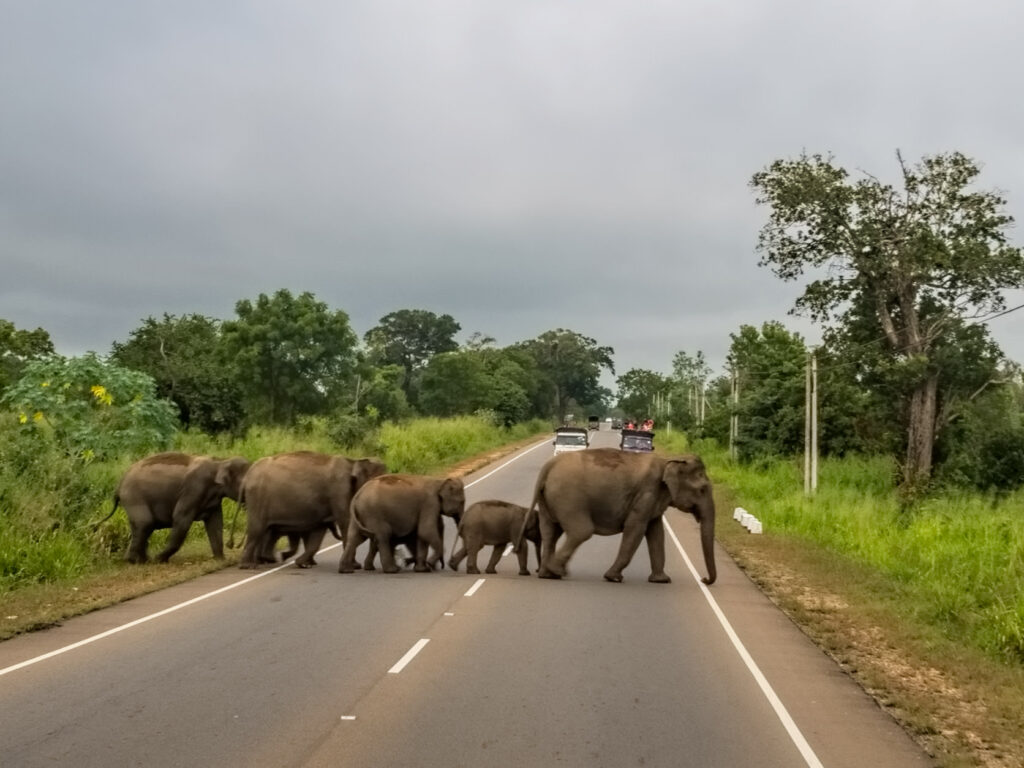 habarana sri lanka