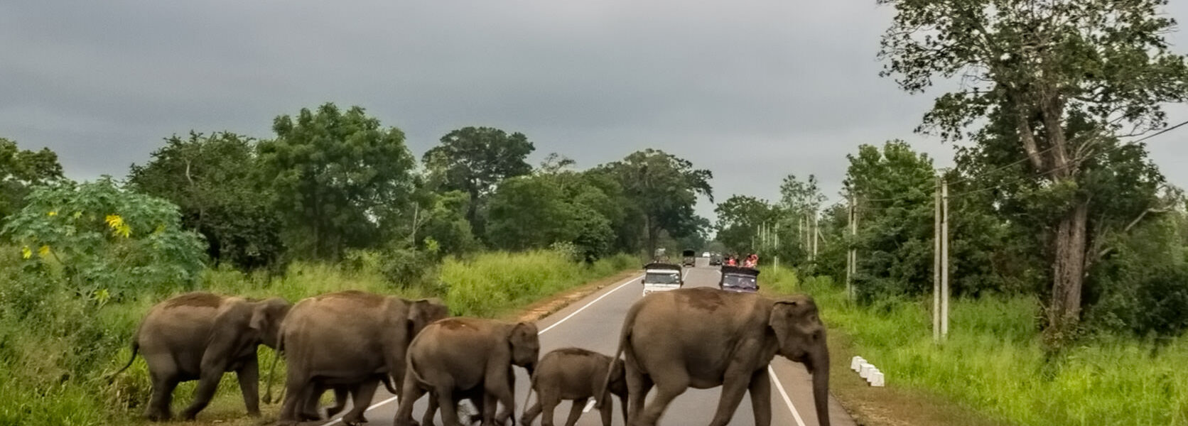 habarana sri lanka