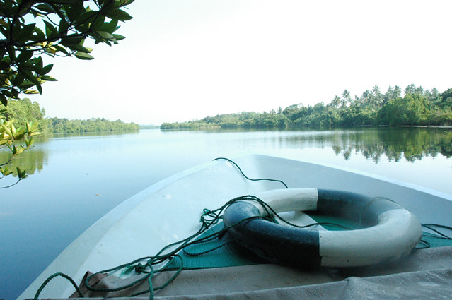 madu-river-boting-balapiliya-sri-lanka