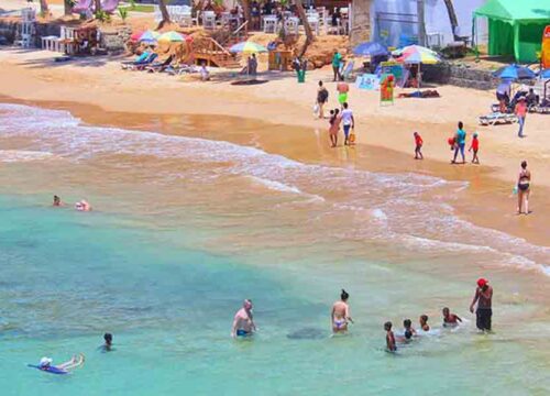 Essence of Sri Lanka Tour (8-Day)