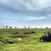 safari tours sri lanka