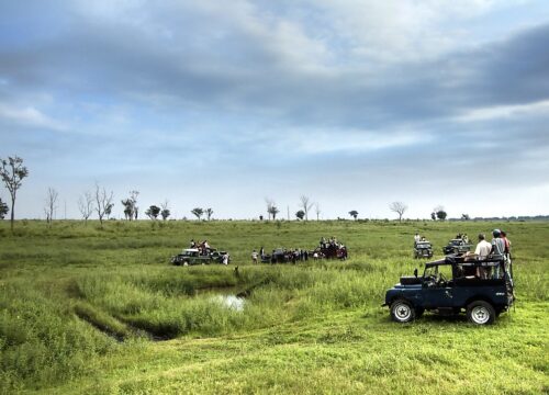 Where to Spot Elephants, Leopards & Rare Species in Sri Lanka