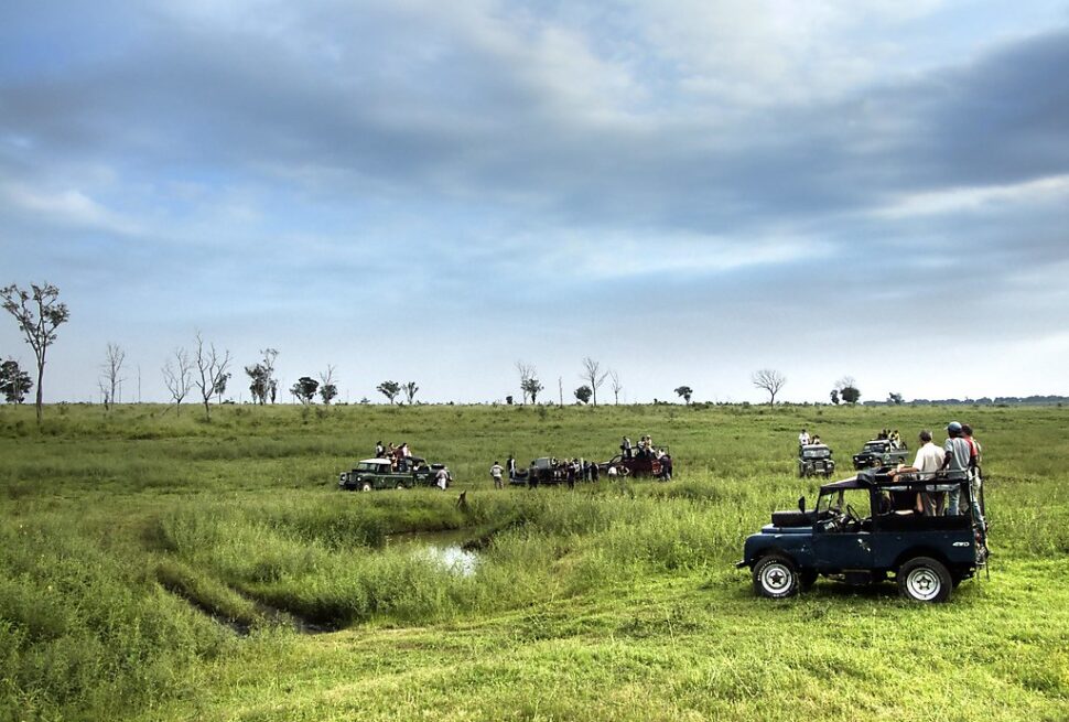 safari tours sri lanka