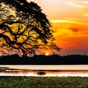 wilpattu_national_park_640