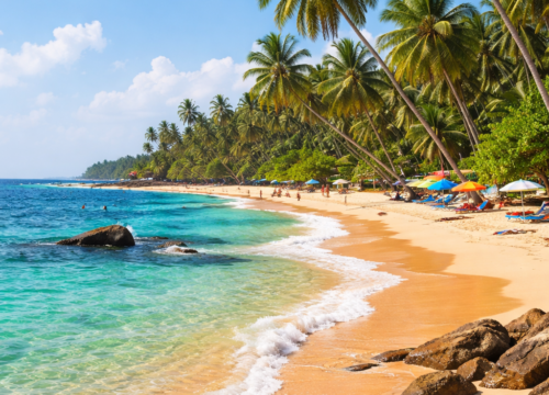 Why January Is the Best Time to Visit Sri Lanka