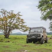 Sri Lanka wildlife safari January