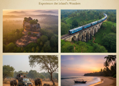 How to Plan a 10-Day Sri Lanka Trip