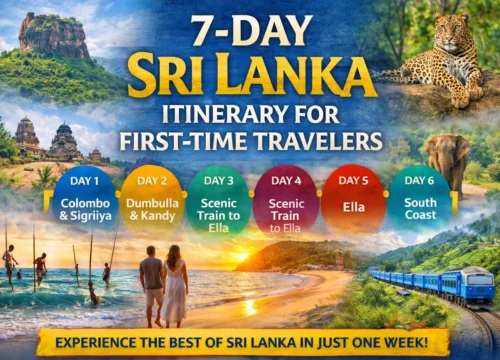 7-Day Sri Lanka Itinerary for First-Time Visitors (Complete Travel Plan)
