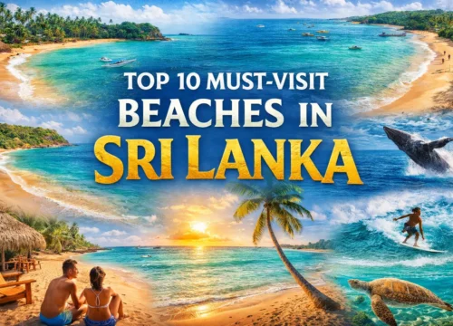 Top 10 Must-Visit Beaches in Sri Lanka for Singapore & Malaysia Travelers
