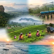 unique experiences Sri Lanka