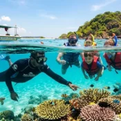 “Snorkeling experience at Pigeon Island National Park near Trincomalee Sri Lanka with coral reefs and crystal clear water”