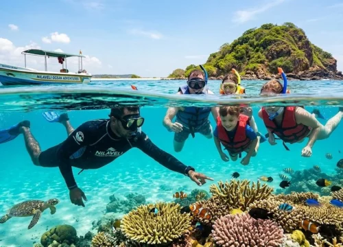 Pigeon Island National Park Sri Lanka: A Complete Guide to the Best Snorkeling Experience in Trincomalee