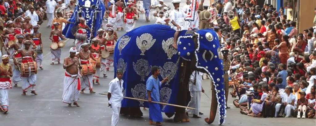 Decorated elephant walking through the Kandy Esala Perahera procession in Sri Lanka
