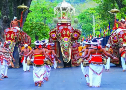 Kandy Esala Perahera: A Complete Guide to Sri Lanka’s Grandest Cultural Festival