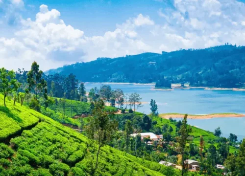 Pekoe Trail Sri Lanka: Complete Hiking Guide